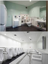 Multipurpose toilets and toilet renovation