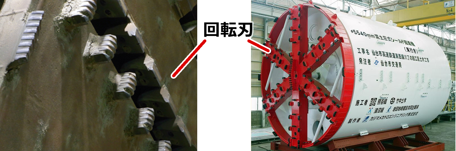 回転歯