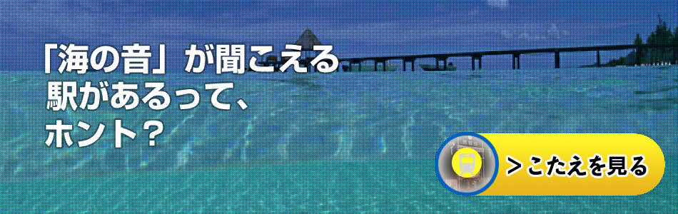 slider_img016.jpg